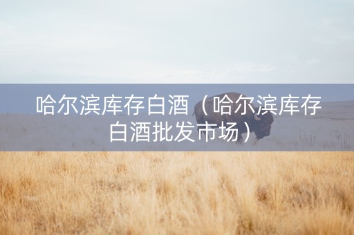 哈尔滨库存白酒（哈尔滨库存白酒批发市场）