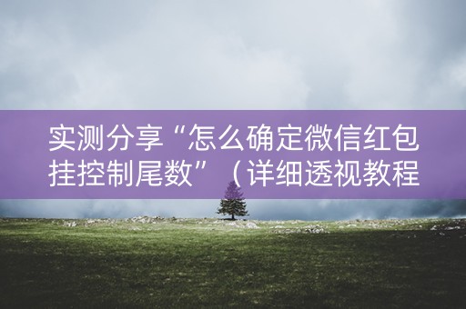 实测分享“怎么确定微信红包挂控制尾数”（详细透视教程）-哔哩哔哩