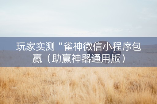 玩家实测“雀神微信小程序包赢（助赢神器通用版）