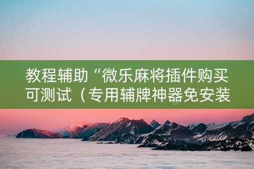 教程辅助“微乐麻将插件购买可测试（专用辅牌神器免安装）