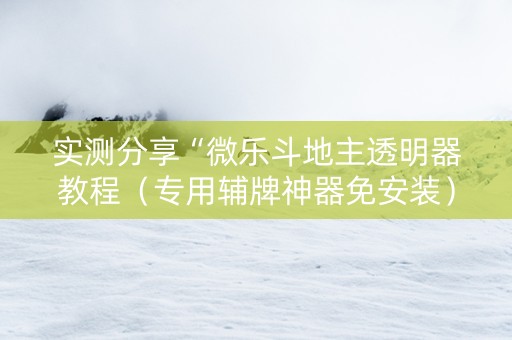 实测分享“微乐斗地主透明器教程（专用辅牌神器免安装）
