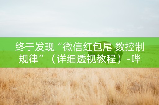 终于发现“微信红包尾 数控制规律”（详细透视教程）-哔哩哔哩