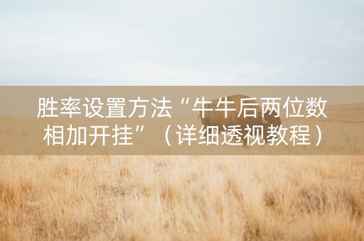 胜率设置方法“牛牛后两位数相加开挂”（详细透视教程）-哔哩哔哩