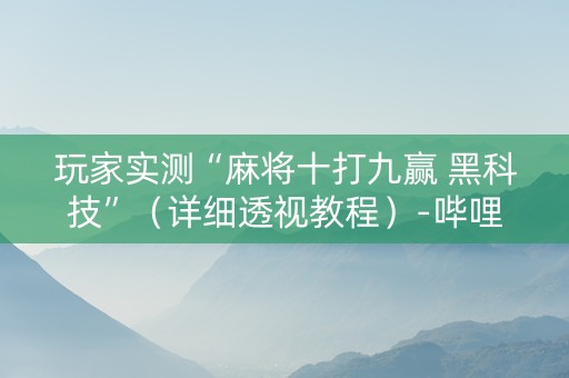 玩家实测“麻将十打九赢 黑科技”（详细透视教程）-哔哩哔哩