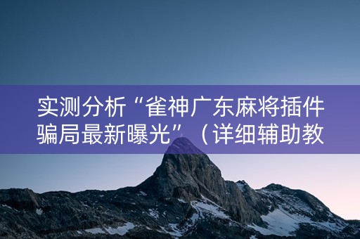 实测分析“雀神广东麻将插件骗局最新曝光”（详细辅助教程）-哔哩哔哩