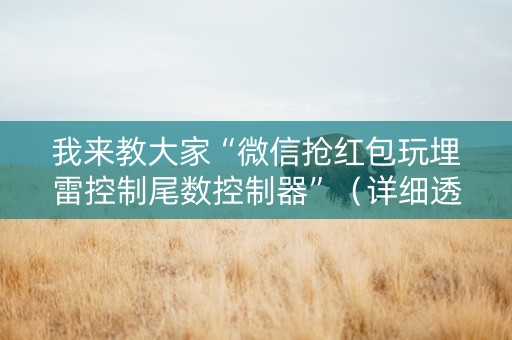 我来教大家“微信抢红包玩埋雷控制尾数控制器”（详细透视教程）-哔哩哔哩