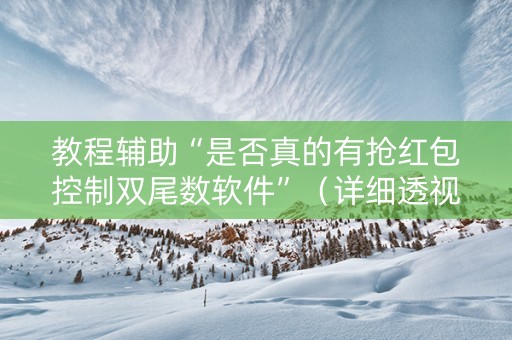 教程辅助“是否真的有抢红包控制双尾数软件”（详细透视教程）-哔哩哔哩