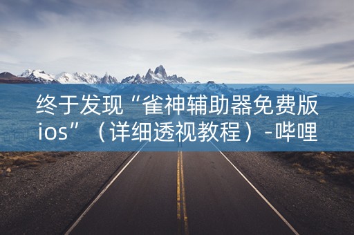 终于发现“雀神辅助器免费版ios”（详细透视教程）-哔哩哔哩