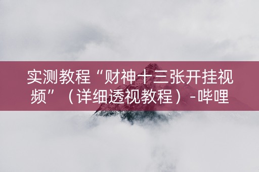 实测教程“财神十三张开挂视频”（详细透视教程）-哔哩哔哩