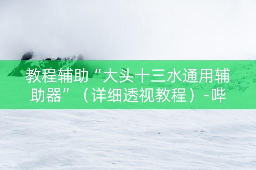 教程辅助“大头十三水通用辅助器”（详细透视教程）-哔哩哔哩
