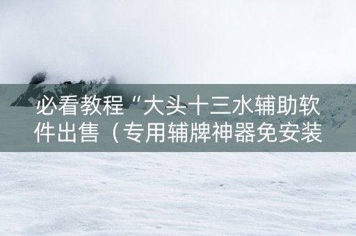 必看教程“大头十三水辅助软件出售（专用辅牌神器免安装）