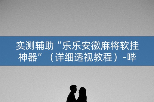 实测辅助“乐乐安徽麻将软挂神器”（详细透视教程）-哔哩哔哩