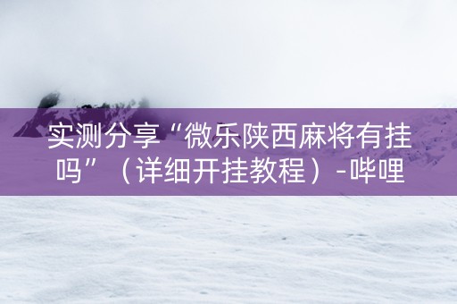 实测分享“微乐陕西麻将有挂吗”（详细开挂教程）-哔哩哔哩