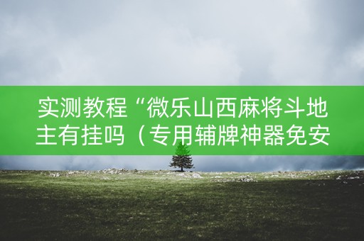 实测教程“微乐山西麻将斗地主有挂吗（专用辅牌神器免安装）