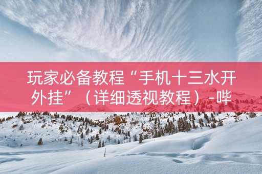 详细阅读:玩家必备教程“手机十三水开外挂”(详细透视教程)-哔哩哔哩 玩家必备教程“手机十三水开外挂”(详细透视教程)-哔哩哔哩