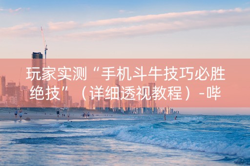 玩家实测“手机斗牛技巧必胜绝技”（详细透视教程）-哔哩哔哩