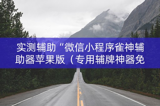 实测辅助“微信小程序雀神辅助器苹果版（专用辅牌神器免安装）
