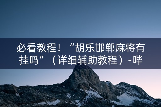 必看教程！“胡乐邯郸麻将有挂吗”（详细辅助教程）-哔哩哔哩