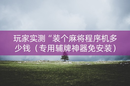 玩家实测“装个麻将程序机多少钱（专用辅牌神器免安装）