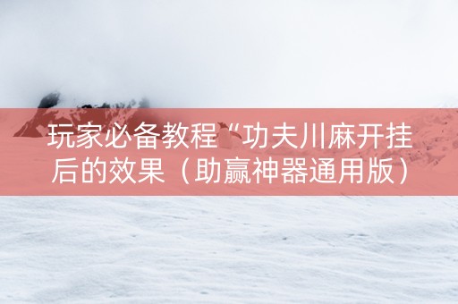 玩家必备教程“功夫川麻开挂后的效果（助赢神器通用版）