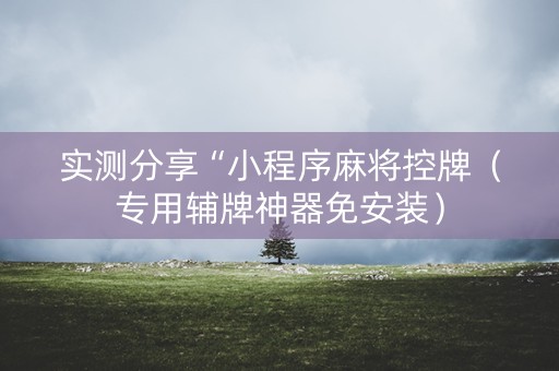 实测分享“小程序麻将控牌（专用辅牌神器免安装）
