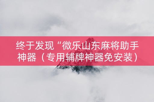 终于发现“微乐山东麻将助手神器（专用辅牌神器免安装）