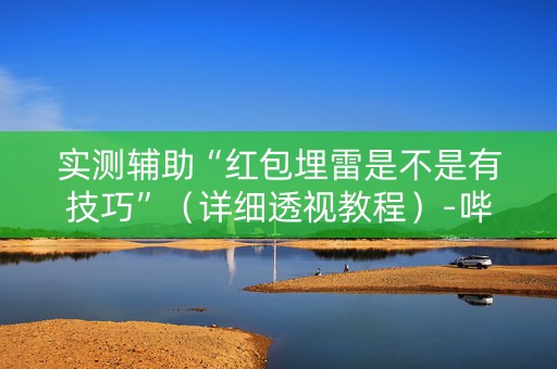 实测辅助“红包埋雷是不是有技巧”（详细透视教程）-哔哩哔哩
