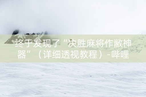 终于发现了“决胜麻将作敝神器”（详细透视教程）-哔哩哔哩