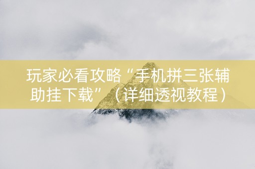 玩家必看攻略“手机拼三张辅助挂下载”（详细透视教程）-哔哩哔哩