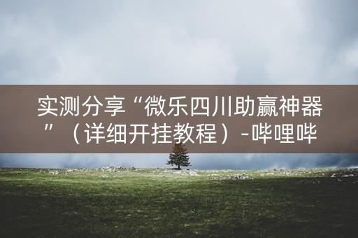 实测分享“微乐四川助赢神器”（详细开挂教程）-哔哩哔哩