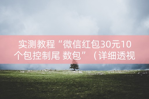 实测教程“微信红包30元10个包控制尾 数包”（详细透视教程）-哔哩哔哩