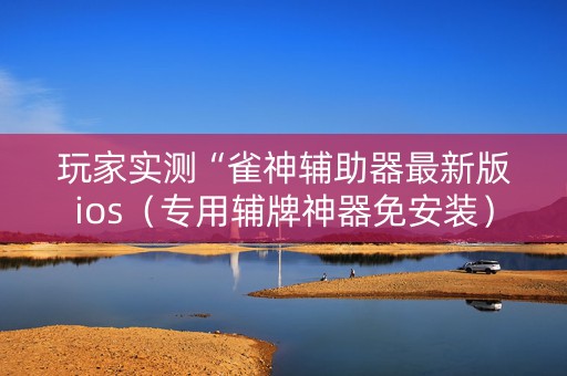 玩家实测“雀神辅助器最新版ios（专用辅牌神器免安装）