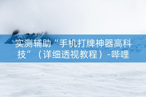 实测辅助“手机打牌神器高科技”（详细透视教程）-哔哩哔哩