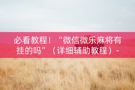 必看教程！“微信微乐麻将有挂的吗”（详细辅助教程）-哔哩哔哩