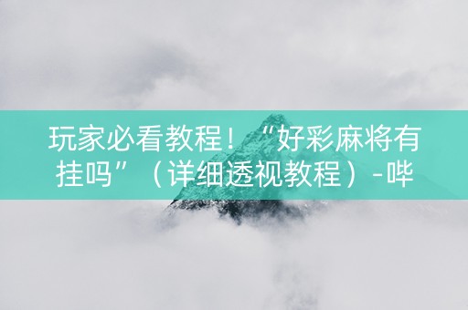 玩家必看教程！“好彩麻将有挂吗”（详细透视教程）-哔哩哔哩