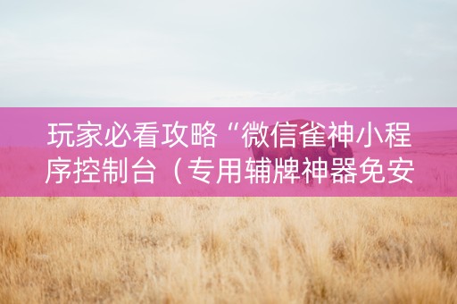 玩家必看攻略“微信雀神小程序控制台（专用辅牌神器免安装）