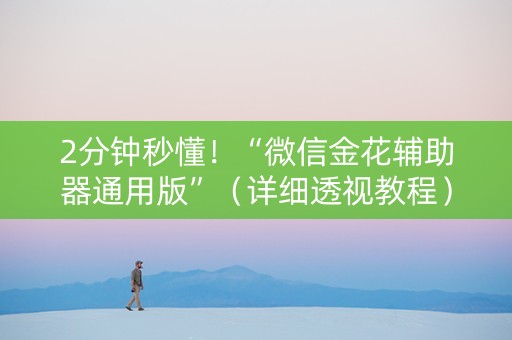 2分钟秒懂！“微信金花辅助器通用版”（详细透视教程）-哔哩哔哩