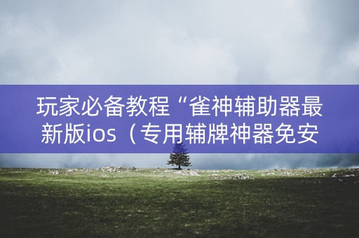 玩家必备教程“雀神辅助器最新版ios（专用辅牌神器免安装）