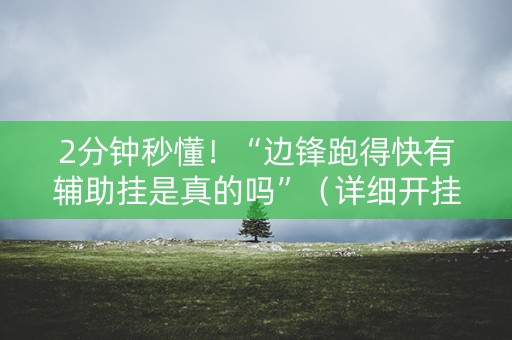 2分钟秒懂！“边锋跑得快有辅助挂是真的吗”（详细开挂教程）-哔哩哔哩