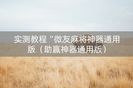 实测教程“微友麻将神器通用版（助赢神器通用版）
