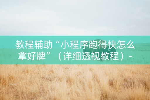 教程辅助“小程序跑得快怎么拿好牌”（详细透视教程）-哔哩哔哩