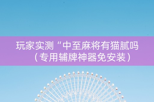 玩家实测“中至麻将有猫腻吗（专用辅牌神器免安装）