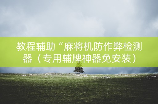 教程辅助“麻将机防作弊检测器（专用辅牌神器免安装）
