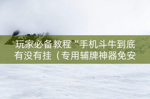 玩家必备教程“手机斗牛到底有没有挂（专用辅牌神器免安装）