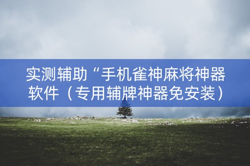 实测辅助“手机雀神麻将神器软件（专用辅牌神器免安装）
