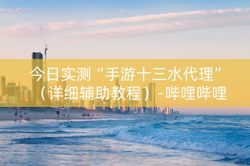 今日实测“手游十三水代理”（详细辅助教程）-哔哩哔哩
