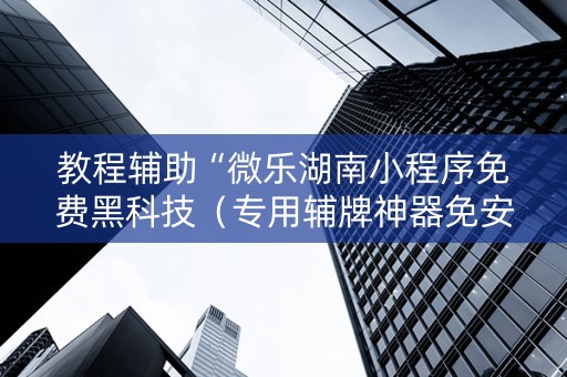 教程辅助“微乐湖南小程序免费黑科技（专用辅牌神器免安装）