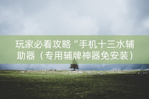 玩家必看攻略“手机十三水辅助器（专用辅牌神器免安装）