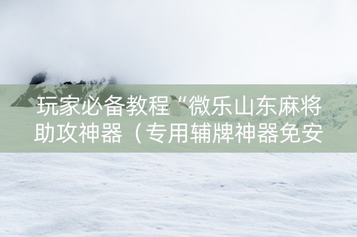 玩家必备教程“微乐山东麻将助攻神器（专用辅牌神器免安装）