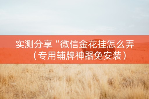 实测分享“微信金花挂怎么弄（专用辅牌神器免安装）